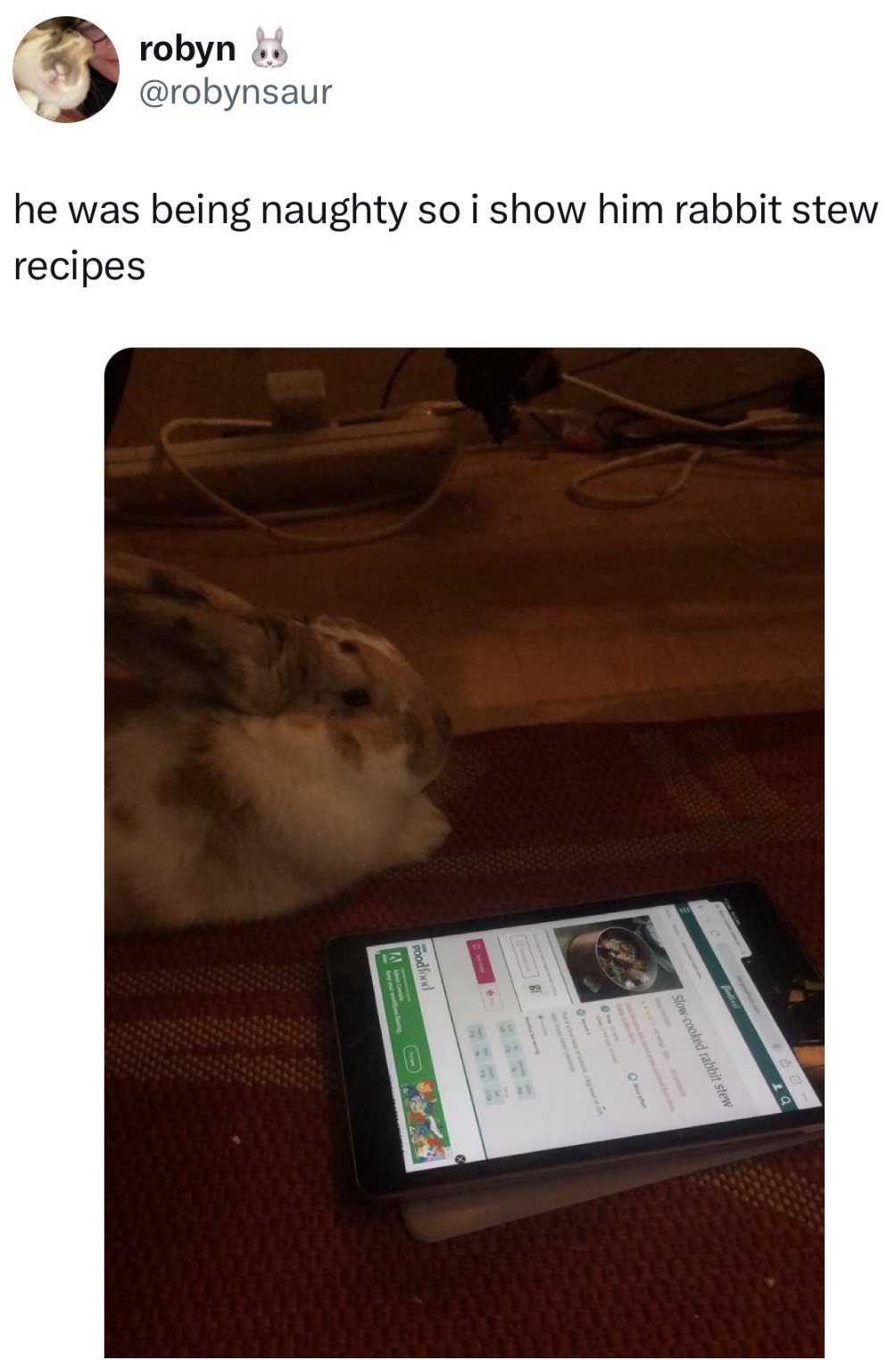 A friend in one moment, a meal the next